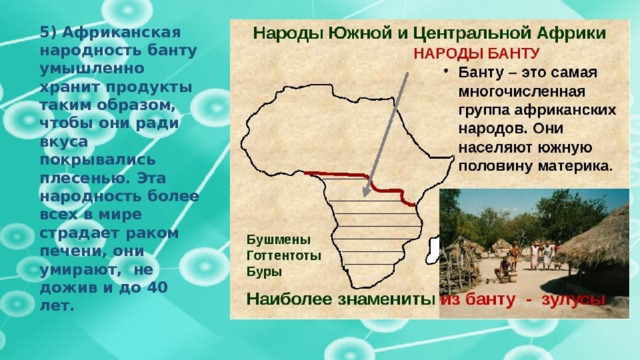 5) Африканская народность банту умышленно хранит продукты таким образом, чтобы они ради вкуса покрывались плесенью. Эта народность более всех в мире страдает раком печени, они умирают, не дожив и до 40 лет.   