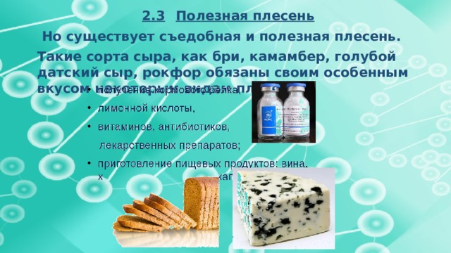 2.3  Полезная плесень  Но существует съедобная и полезная плесень. Такие сорта сыра, как бри, камамбер, голубой датский сыр, рокфор обязаны своим особенным вкусом некоторым видам плесени.   