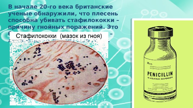 В начале 20-го века британские ученые обнаружили, что плесень способна убивать стафилококки – причину гнойных поражений. Это было открытием пенициллина – лекарства от многих болезней.   