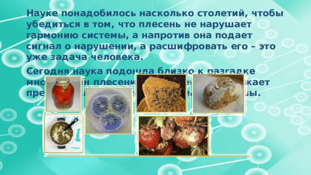 Науке понадобилось насколько столетий, чтобы убедиться в том, что плесень не нарушает гармонию системы, а напротив она подает сигнал о нарушении, а расшифровать его – это уже задача человека. Сегодня наука подошла близко к разгадке многих тайн плесени, но плесень продолжает преподносить все новые и новые сюрпризы.     