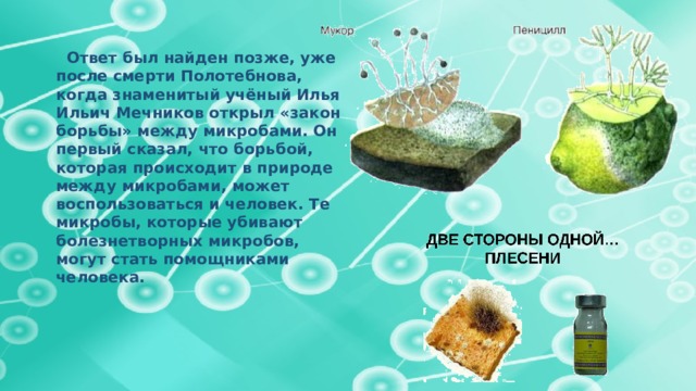  Ответ был найден позже, уже после смерти Полотебнова, когда знаменитый учёный Илья Ильич Мечников открыл «закон борьбы» между микробами. Он первый сказал, что борьбой, которая происходит в природе между микробами, может воспользоваться и человек. Те микробы, которые убивают болезнетворных микробов, могут стать помощниками человека. 