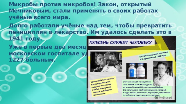Микробы против микробов! Закон, открытый Мечниковым, стали применять в своих работах учёные всего мира. Долго работали учёные над тем, чтобы превратить пенициллин в лекарство. Им удалось сделать это в 1941 году. Уже в первые два месяца лечения пенициллином в московском госпитале удалось вернуть здоровье 1227 больным. 