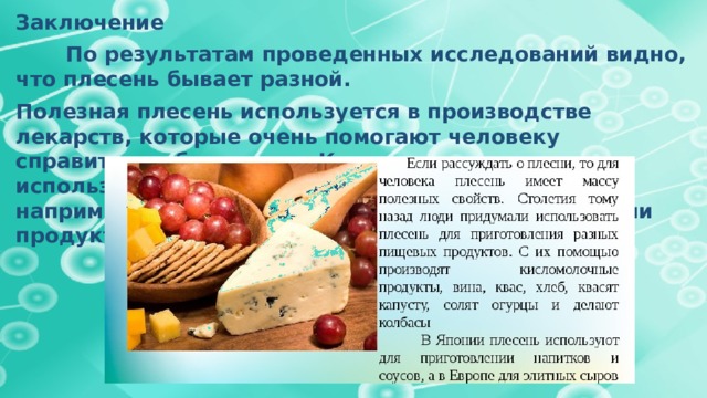 Заключение   По результатам проведенных исследований видно, что плесень бывает разной. Полезная плесень используется в производстве лекарств, которые очень помогают человеку справиться с болезнями. Кроме того, плесень используют при изготовлении продуктов питания, например, сыров, которые являются деликатесными продуктом.   