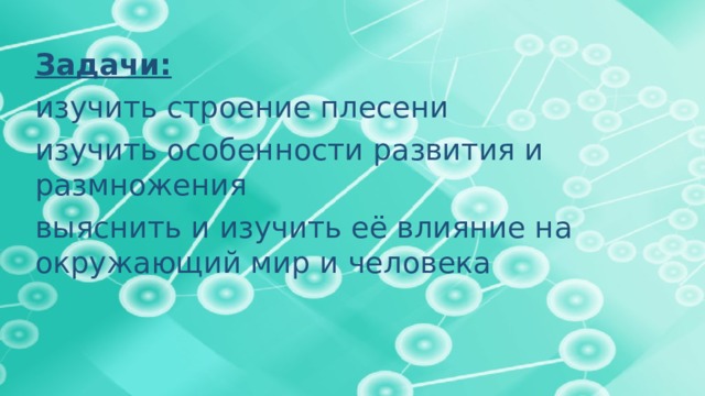 Задачи: изучить строение плесени изучить особенности развития и размножения выяснить и изучить её влияние на окружающий мир и человека   