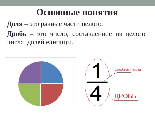  Основные понятия Доля – это равные части целого. Дробь – это число, составленное из целого числа долей единицы.  