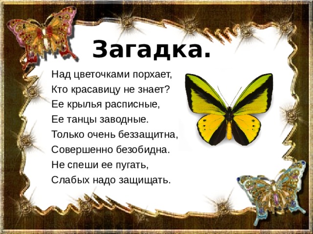 Загадка. Над цветочками порхает, Кто красавицу не знает? Ее крылья расписные, Ее танцы заводные. Только очень беззащитна, Совершенно безобидна. Не спеши ее пугать, Слабых надо защищать. 