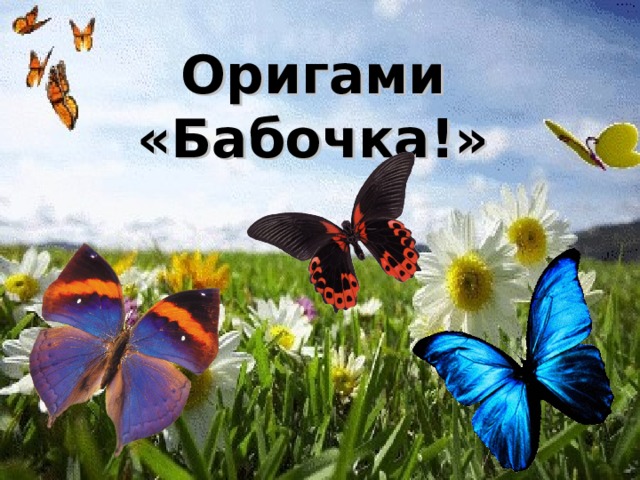 Оригами «Бабочка!» 