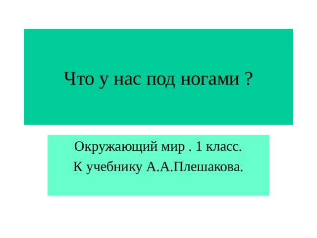 Что у нас под ногами ? Окружающий мир . 1 класс. К учебнику А.А.Плешакова. 