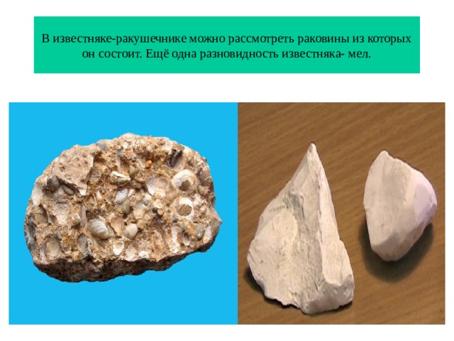 В известняке-ракушечнике можно рассмотреть раковины из которых он состоит. Ещё одна разновидность известняка- мел. 