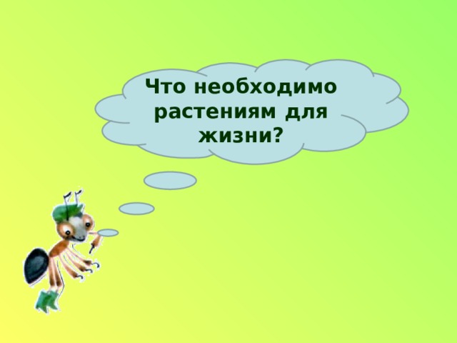 Что необходимо растениям для жизни? 