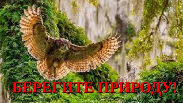 БЕРЕГИТЕ ПРИРОДУ! 