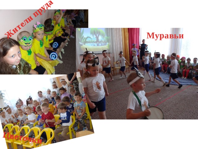Цветочки Жители пруда Муравьи 