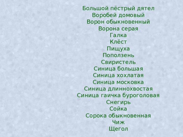 Большой пёстрый дятел Воробей домовый Ворон обыкновенный Ворона серая Галка Клёст Пищуха Поползень Свиристель Синица большая Синица хохлатая Синица московка Синица длиннохвостая Синица гаичка буроголовая Снегирь Сойка Сорока обыкновенная Чиж Щегол 