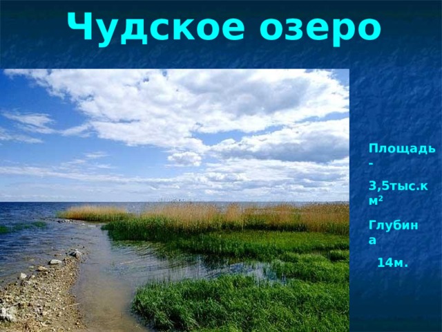 Чудское озеро Площадь- 3,5тыс.км 2 Глубина  14м. 