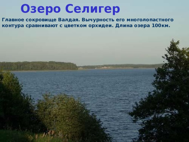 Озеро Селигер Главное сокровище Валдая. Вычурность его многолопастного контура сравнивают с цветком орхидеи. Длина озера 100км. 