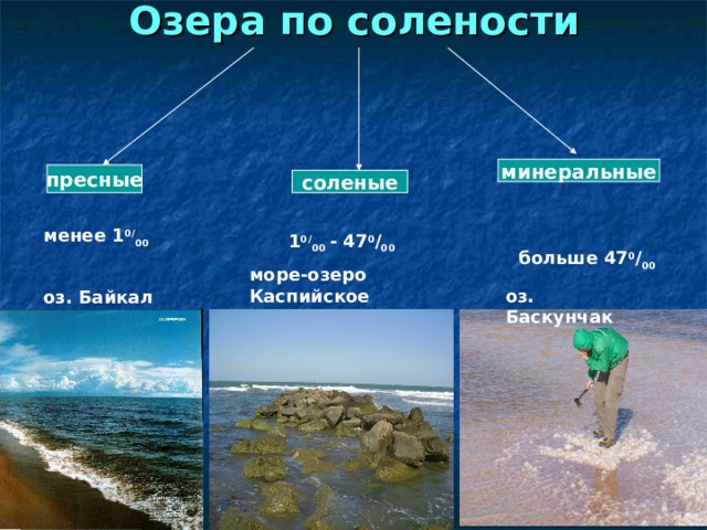 Озера по солености минеральные пресные соленые менее 1 0/ 00  1 0/ 00 - 47 0 / 00 больше 47 0 / 00 море-озеро Каспийское оз. Баскунчак оз. Байкал 