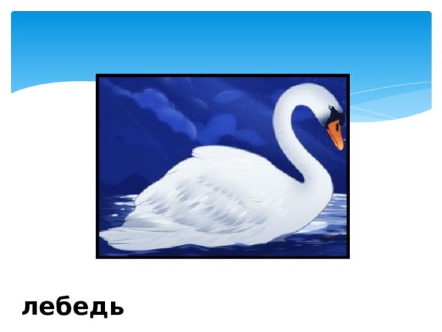лебедь 