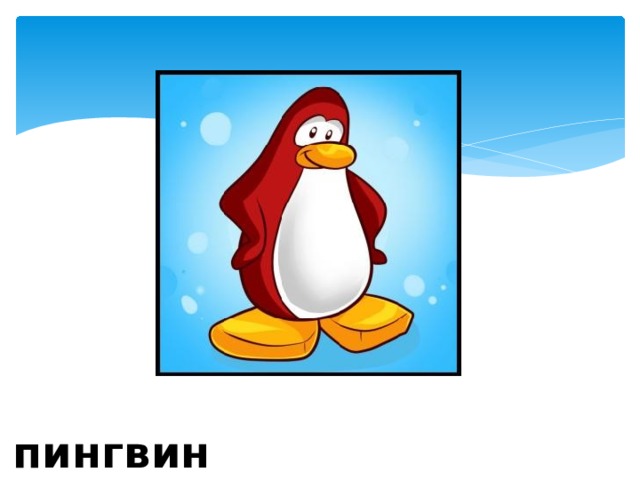 пингвин 
