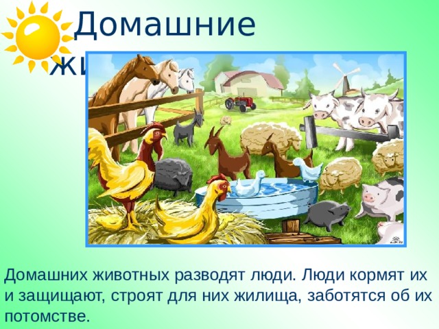  Домашние животные. Домашних животных разводят люди. Люди кормят их и защищают, строят для них жилища, заботятся об их потомстве. 