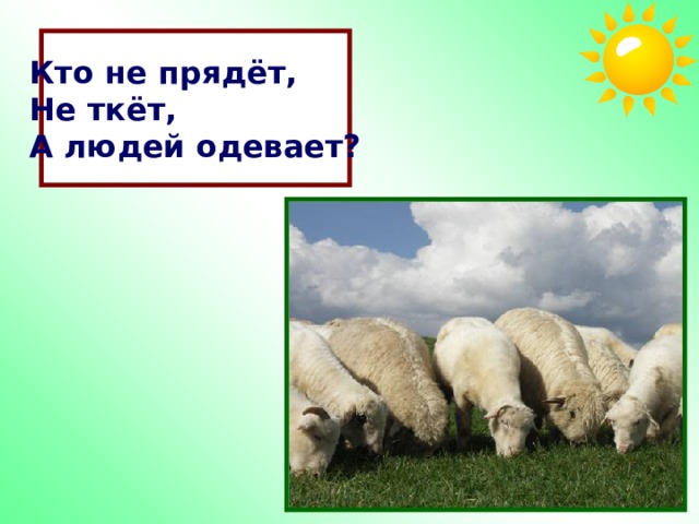 Кто не прядёт, Не ткёт, А людей одевает? 