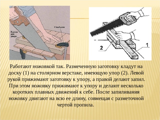 Работают ножовкой так. Размеченную заготовку кладут на доску (1) на столярном верстаке, имеющую упор (2). Левой рукой прижимают заготовку к упору, а правой делают запил. При этом ножовку прижимают к упору и делают несколько коротких плавных движений к себе. После запиливания ножовку двигают на всю ее длину, совмещая с разметочной чертой пропила.   
