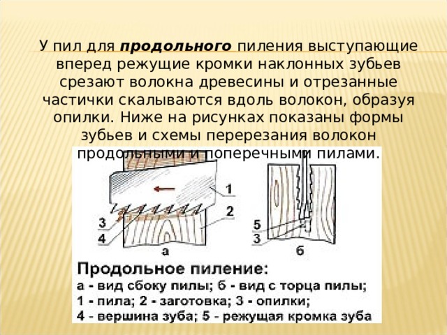 У пил для  продольного  пиления выступающие вперед режущие кромки наклонных зубьев срезают волокна древесины и отрезанные частички скалываются вдоль волокон, образуя опилки. Ниже на рисунках показаны формы зубьев и схемы перерезания волокон продольными и поперечными пилами. 