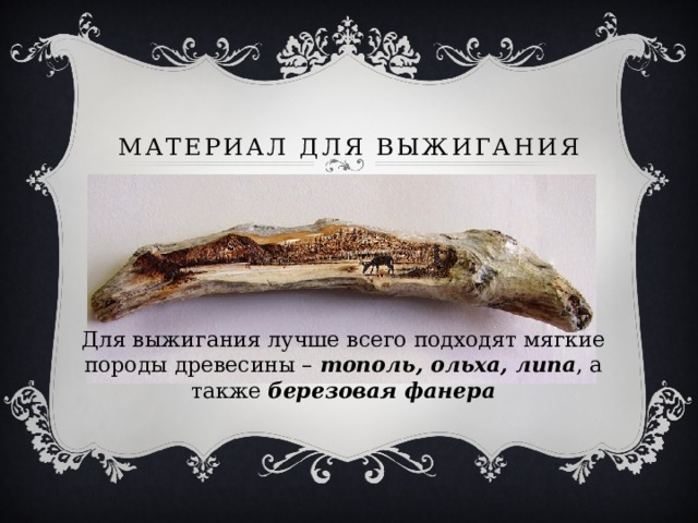 Материал для выжигания Для выжигания лучше всего подходят мягкие породы древесины – тополь, ольха, липа , а также березовая фанера 
