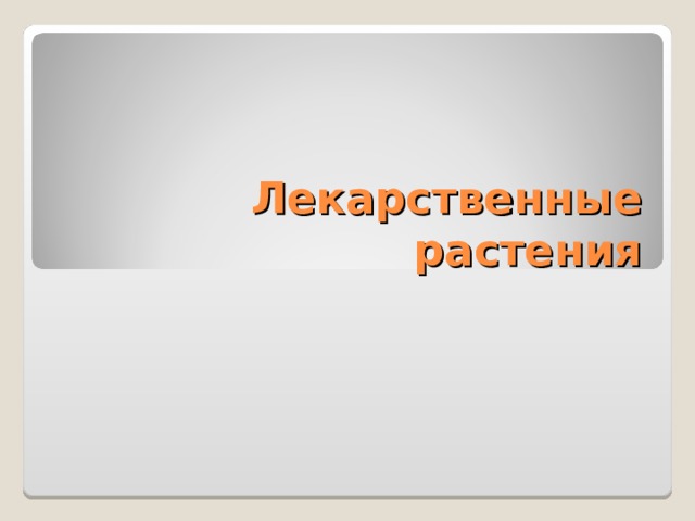 Лекарственные растения 