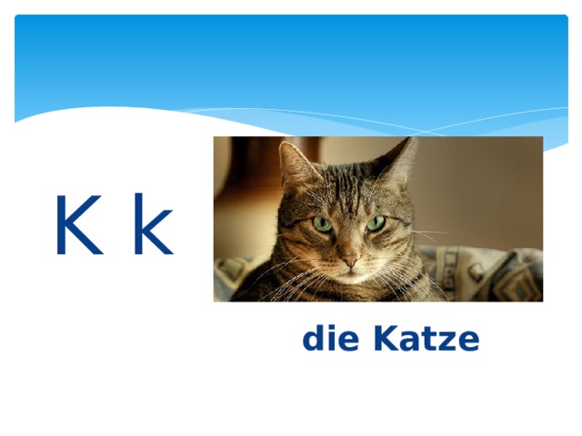 K k die Katze 