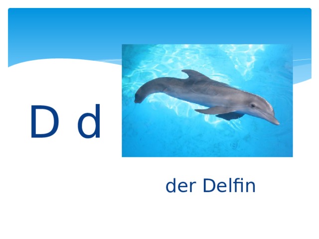 D d der Delfin 
