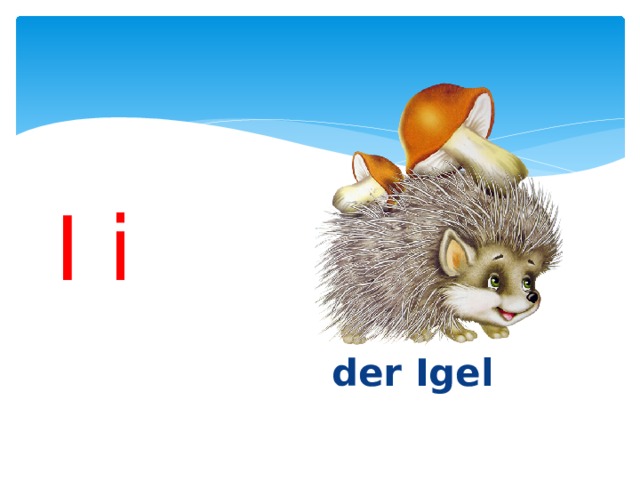 I i    der Igel 
