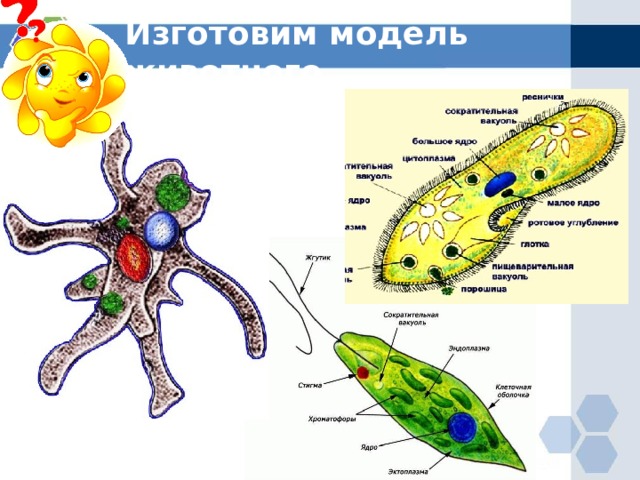 Изготовим модель животного 