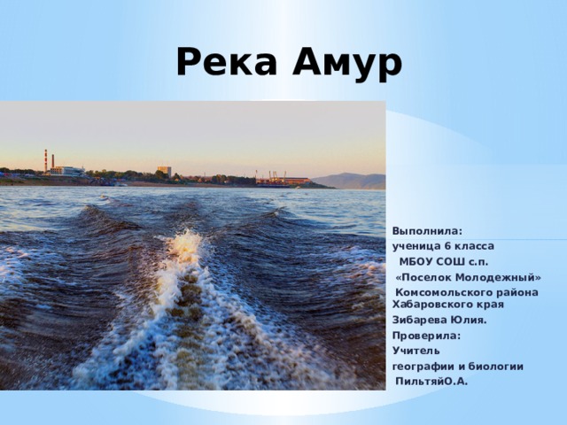 Река Амур Выполнила: ученица 6 класса  МБОУ СОШ с.п.  «Поселок Молодежный»  Комсомольского района Хабаровского края Зибарева Юлия. Проверила: Учитель географии и биологии  ПильтяйО.А. 