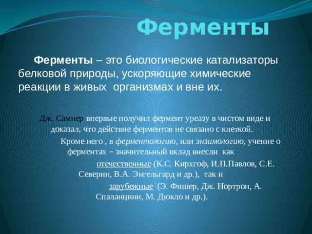 Ферменты  Ферменты – это биологические катализаторы белковой природы, ускоряющие химические реакции в живых организмах и вне их.  Дж. Самнер впервые получил фермент уреазу в чистом виде и  доказал, что действие ферментов не связано с клеткой.  Кроме него , в ферментологию , или энзимологию , учение о ферментах – значительный вклад внесли как  отечественные (К.С. Кирхгоф, И.П.Павлов, С.Е. Северин, В.А. Энгельгард и др.), так и  зарубежные (Э. Фишер, Дж. Нортрон, А. Спаланцини, М. Дюкло и др.). 