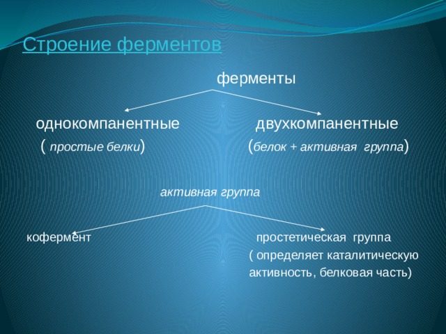 Строение ферментов  ферменты  однокомпанентные двухкомпанентные  ( простые белки ) ( белок + активная группа )  активная группа кофермент  простетическая группа  ( определяет каталитическую  активность, белковая часть) 