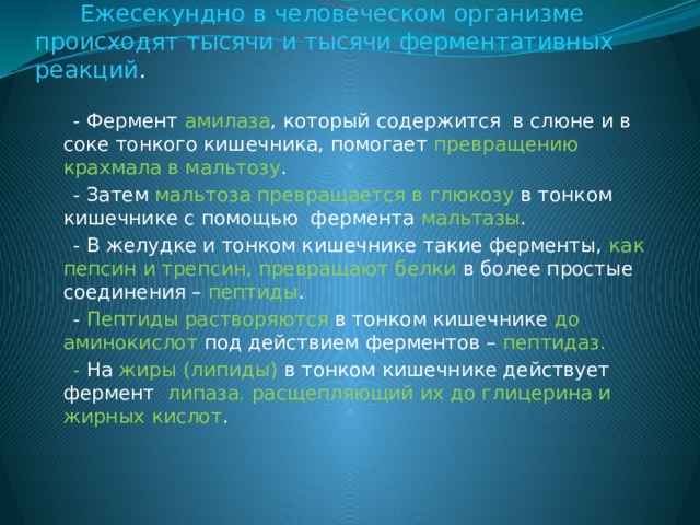  Ежесекундно в человеческом организме происходят тысячи и тысячи ферментативных реакций .  - Фермент амилаза , который содержится в слюне и в соке тонкого кишечника, помогает превращению крахмала в мальтозу .  - Затем мальтоза  превращается в глюкозу в тонком кишечнике с помощью фермента мальтазы .  - В желудке и тонком кишечнике такие ферменты, как пепсин и трепсин, превращают белки в более простые соединения – пептиды .  - Пептиды растворяются в тонком кишечнике до аминокислот под действием ферментов – пептидаз.  - На жиры (липиды) в тонком кишечнике действует фермент липаза , расщепляющий их до глицерина и жирных кислот . 