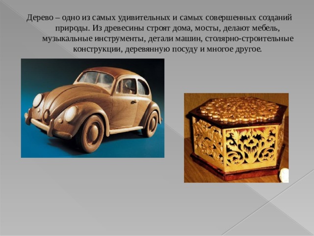 Дерево – одно из самых удивительных и самых совершенных созданий природы. Из древесины строят дома, мосты, делают мебель, музыкальные инструменты, детали машин, столярно-строительные конструкции, деревянную посуду и многое другое. 