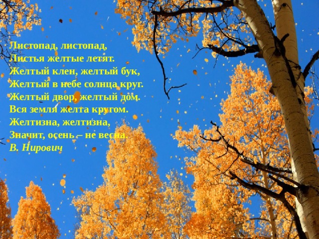 Листопад, листопад,  Листья желтые летят.  Желтый клен, желтый бук,  Желтый в небе солнца круг.  Желтый двор, желтый дом.  Вся земля желта кругом.  Желтизна, желтизна,  Значит, осень – не весна.  В. Нирович 
