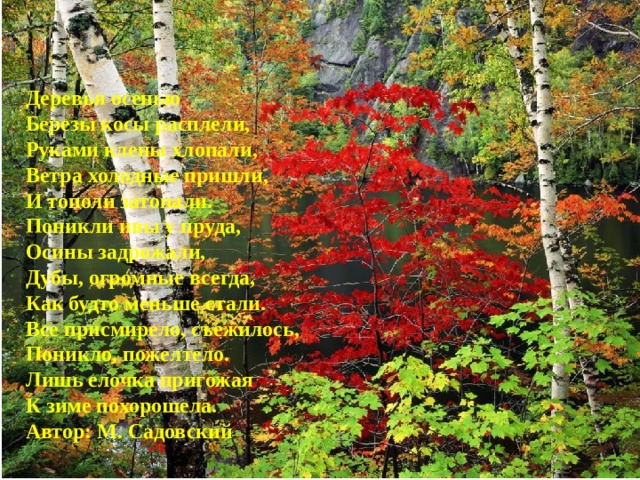 Деревья осенью Березы косы расплели,  Руками клены хлопали,  Ветра холодные пришли,  И тополи затопали.  Поникли ивы у пруда,  Осины задрожали,  Дубы, огромные всегда,  Как будто меньше стали.  Все присмирело, съежилось,  Поникло, пожелтело.  Лишь елочка пригожая  К зиме похорошела. Автор: М. Садовский 