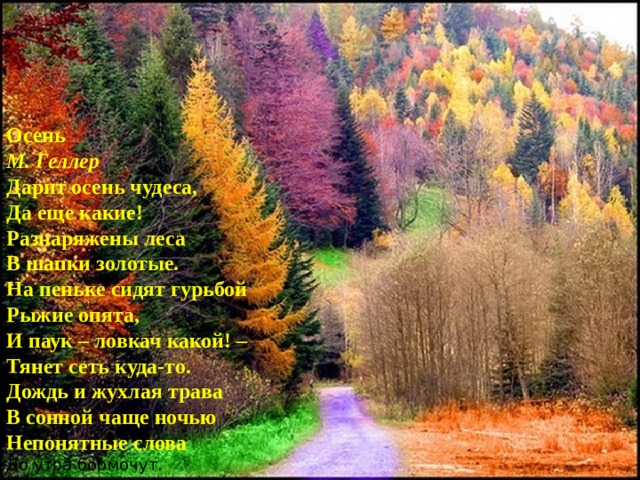 Осень М. Геллер  Дарит осень чудеса,  Да еще какие!  Разнаряжены леса  В шапки золотые.  На пеньке сидят гурьбой  Рыжие опята,  И паук – ловкач какой! –  Тянет сеть куда-то.  Дождь и жухлая трава  В сонной чаще ночью  Непонятные слова  До утра бормочут. 
