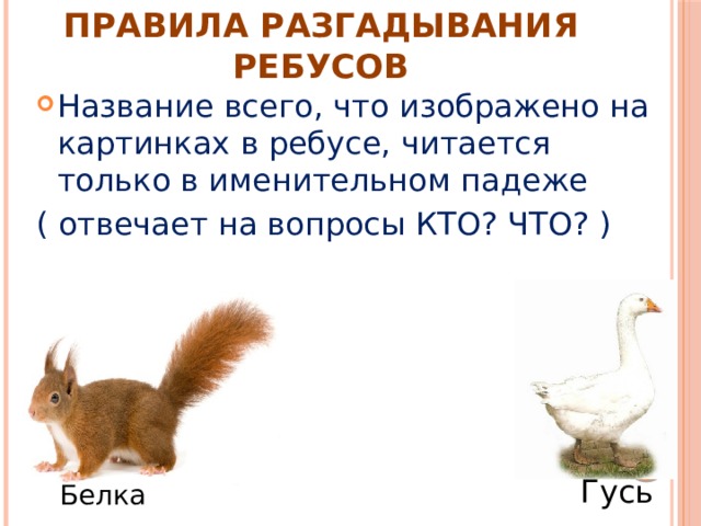 Правила разгадывания ребусов Название всего, что изображено на картинках в ребусе, читается только в именительном падеже ( отвечает на вопросы КТО? ЧТО? ) Гусь Белка 