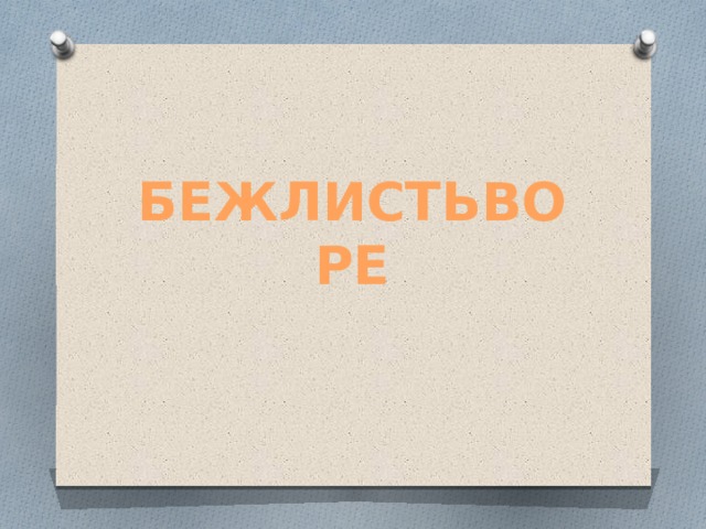бежлистьворе 