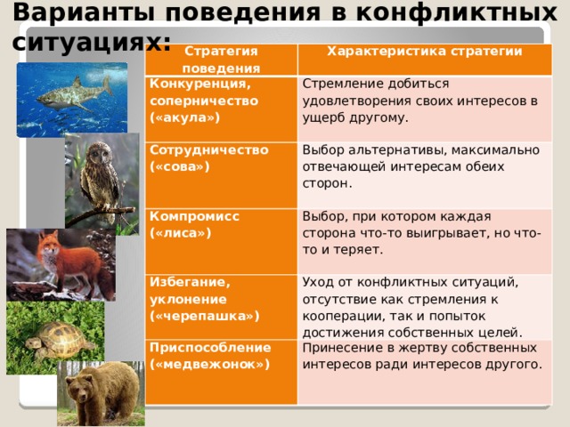 Варианты поведения в конфликтных ситуациях: Стратегия поведения Характеристика стратегии Конкуренция, соперничество («акула») Стремление добиться удовлетворения своих интересов в ущерб другому. Сотрудничество («сова») Выбор альтернативы, максимально отвечающей интересам обеих сторон. Компромисс («лиса») Избегание, уклонение («черепашка») Выбор, при котором каждая сторона что-то выигрывает, но что-то и теряет.   Уход от конфликтных ситуаций, отсутствие как стремления к кооперации, так и попыток достижения собственных целей. Приспособление («медвежонок»)  Принесение в жертву собственных интересов ради интересов другого.  