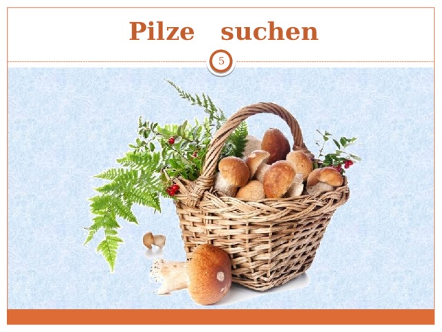Pilze suchen  