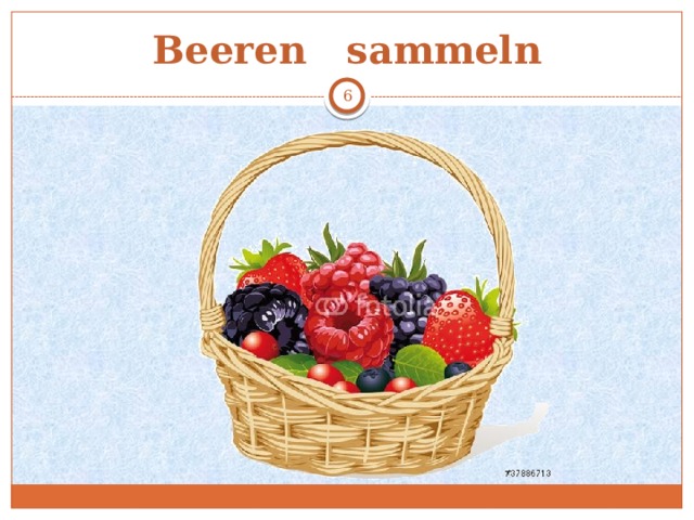 Beeren sammeln  