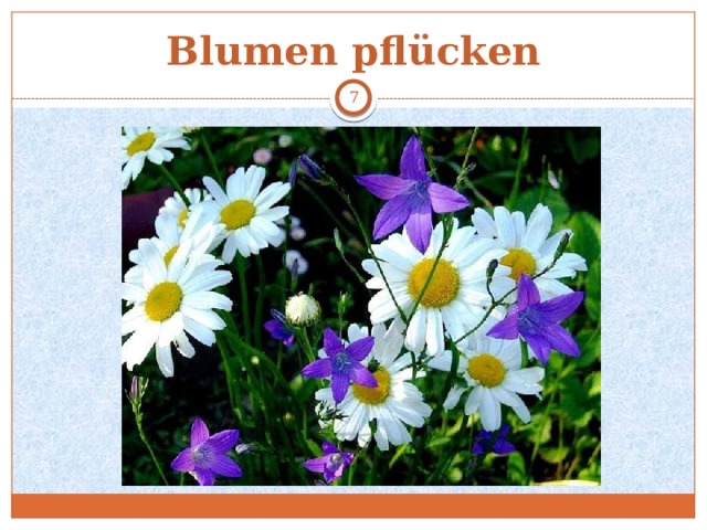 Blumen pflücken  