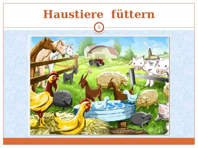 Haustiere füttern  