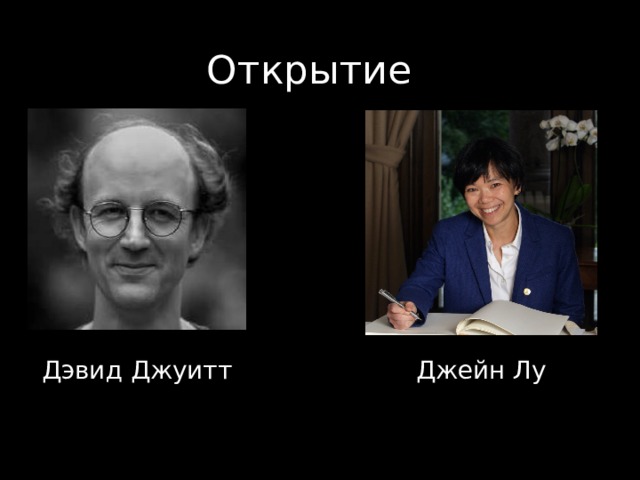 Дэвид Джуитт Джейн Лу 