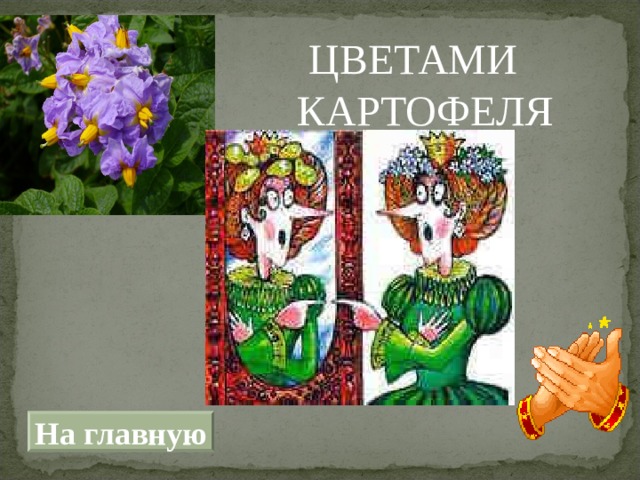  ЦВЕТАМИ КАРТОФЕЛЯ На главную 