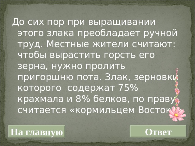 До сих пор при выращивании этого злака преобладает ручной труд. Местные жители считают: чтобы вырастить горсть его зерна, нужно пролить пригоршню пота. Злак, зерновки которого содержат 75% крахмала и 8% белков, по праву считается «кормильцем Востока» На главную Ответ 